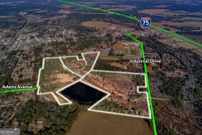 0 Randall Whiddon Drive, Ashburn, GA 31714 - Photo 10