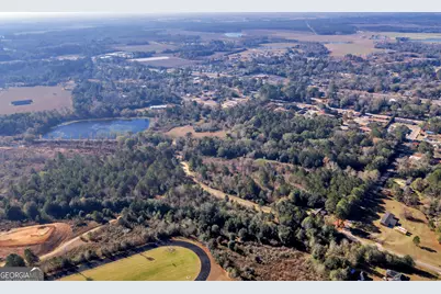 0 Randall Whiddon Drive, Ashburn, GA 31714 - Photo 6