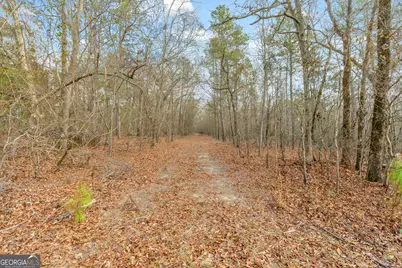 1027 Sparta Highway, Sparta, GA 31087 - Photo 10