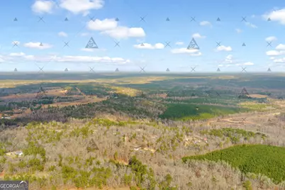 1027 Sparta Highway, Sparta, GA 31087 - Photo 14