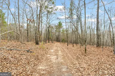 1027 Sparta Highway, Sparta, GA 31087 - Photo 6