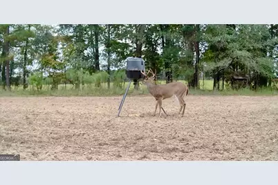 1027 Sparta Highway, Sparta, GA 31087 - Photo 24