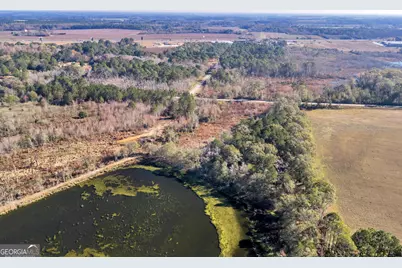 0 Randall Whiddon Drive, Ashburn, GA 31714 - Photo 12