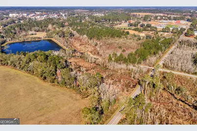 0 Randall Whiddon Drive, Ashburn, GA 31714 - Photo 10