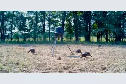 1027 Sparta Highway, Sparta, GA 31087 - Photo 32