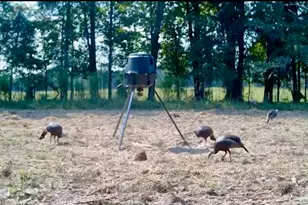 1027 Sparta Hwy, Sparta, GA 31087 - Photo 32