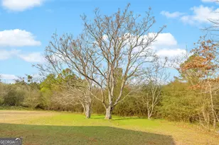 1160 Planing Mill Rd, Greensboro, GA 30642 - Photo 20