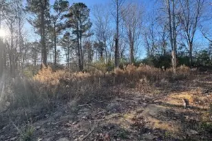 4335 Nessmith Rd, Statesboro, GA 30458 - Photo 16