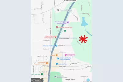 208 Regester Way #LOT 43, Peachtree City, GA 30269 - Photo 20