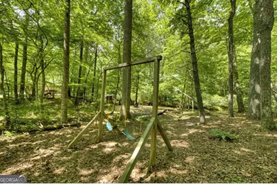 251 Rockhouse Road, Cherry Log, GA 30522 - Photo 28