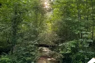 2535 Willow Ln, Social Circle, GA 30025 - Photo 1