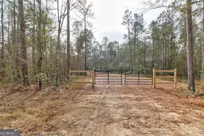 1743 Shawnee Egypt Road, Springfield, GA 31329 - Photo 1