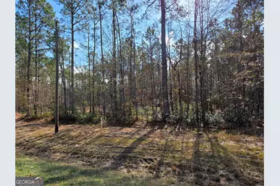 1743 Shawnee Egypt Road, Springfield, GA 31329 - Photo 16