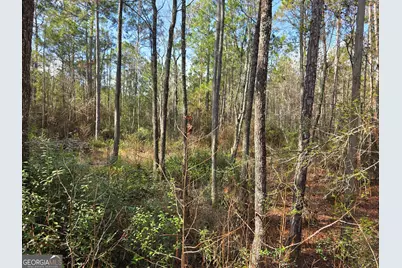 1743 Shawnee Egypt Road, Springfield, GA 31329 - Photo 18