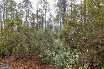 1743 Shawnee Egypt Road, Springfield, GA 31329 - Photo 26