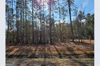 1743 Shawnee Egypt Road, Springfield, GA 31329 - Photo 14