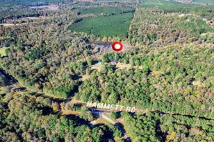 3315 Hammett Rd, Hogansville, GA 30230 - Photo 2