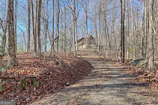 770 Glassy Mtn Rd, Tiger, GA 30576 - Photo 68