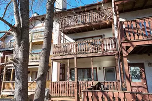 327 Brucken Strasse, Helen, GA 30545 - Photo 6