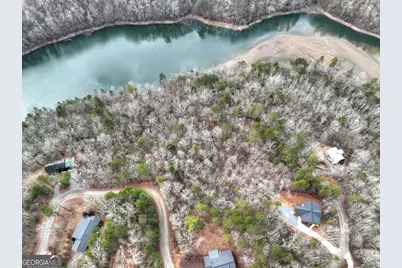 987 Myna Drive, Ellijay, GA 30540 - Photo 4