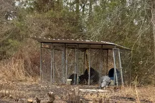 1672 Zoar Rd, Baxley, GA 31513 - Photo 30