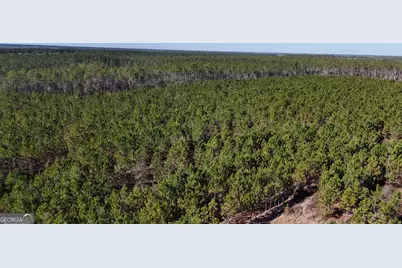 12 Ac Owens Road, Odum, GA 31555 - Photo 4