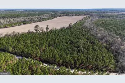 12 Ac Owens Road, Odum, GA 31555 - Photo 2