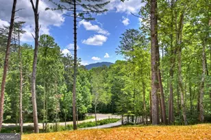 2461 Salem, Mineral Bluff, GA 30559 - Photo 10