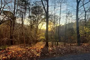 331 Paladin Dr NE, Ranger, GA 30734 - Photo 1