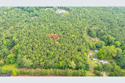 0 Durand Highway, Warm Springs, GA 31830 - Photo 4