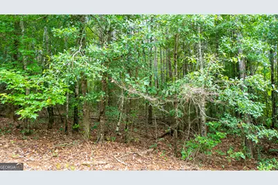 0 Durand Highway, Warm Springs, GA 31830 - Photo 6