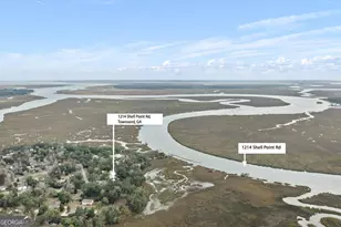 1214 Shell Point Road NE, Townsend, GA 31331 - Photo 42