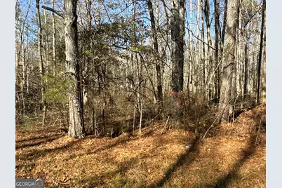 198 Sweetwater Trail, Villa Rica, GA 30180 - Photo 26