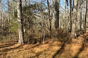 198 Sweetwater Trail, Villa Rica, GA 30180 - Photo 26