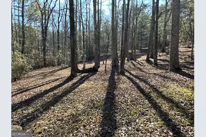 198 Sweetwater Trail, Villa Rica, GA 30180 - Photo 44