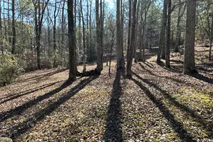 198 Sweetwater Trail, Villa Rica, GA 30180 - Photo 44