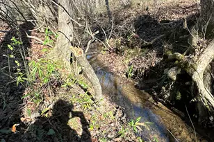 198 Sweetwater Trail, Villa Rica, GA 30180 - Photo 16