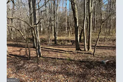 198 Sweetwater Trail, Villa Rica, GA 30180 - Photo 8