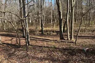 198 Sweetwater Trail, Villa Rica, GA 30180 - Photo 8