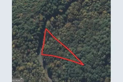 0 Satsuma South Court #694, Ellijay, GA 30540 - Photo 20