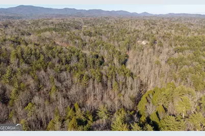 0 Satsuma South Court #694, Ellijay, GA 30540 - Photo 16