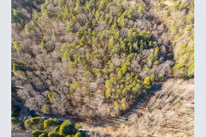 0 Satsuma South Court #694, Ellijay, GA 30540 - Photo 8