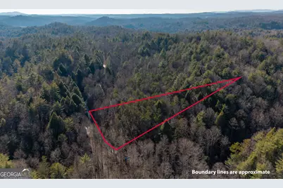 0 Satsuma South Court #694, Ellijay, GA 30540 - Photo 14