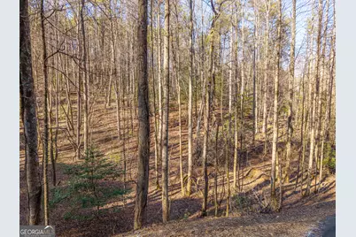 0 Satsuma South Court #694, Ellijay, GA 30540 - Photo 6