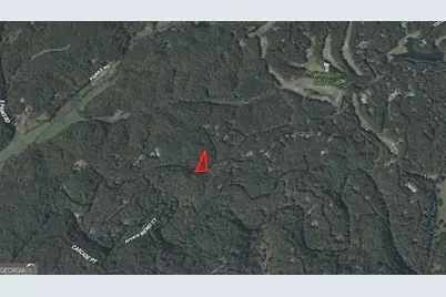 0 Satsuma South Court #694, Ellijay, GA 30540 - Photo 22