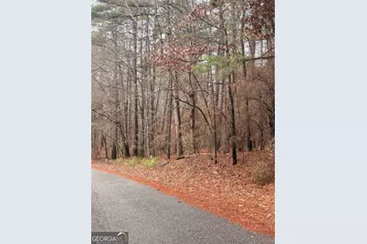 0 Goldeneye Court, Monticello, GA 31064 - Photo 2