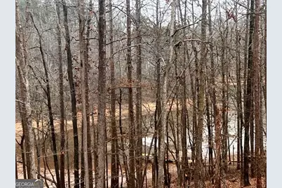 410 Lakeside Hills Road, Martin, GA 30557 - Photo 50