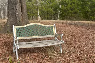 969 Flowers Rd, Molena, GA 30258 - Photo 12