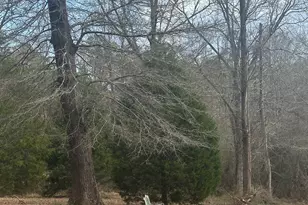 969 Flowers Rd, Molena, GA 30258 - Photo 8