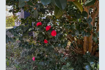 720 Wise Road, White Plains, GA 31780 - Photo 32